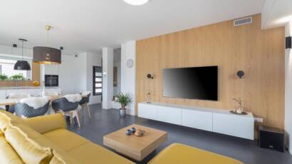 galerija-dnevne-sobe-06